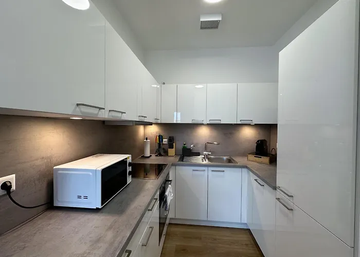 Suite4me - Balkon I Kueche I Waschmaschine I Mainz-kostheim Apartman Wiesbaden